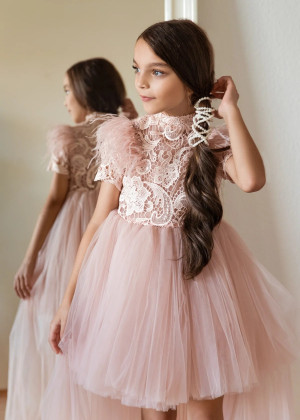 Short Sleeves Lace Tulle High Low Flower Girl Dress